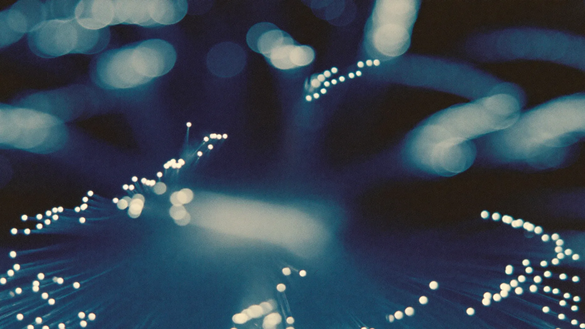Macro di fibre ottiche luminose con punti di luce blu su fondo scuro