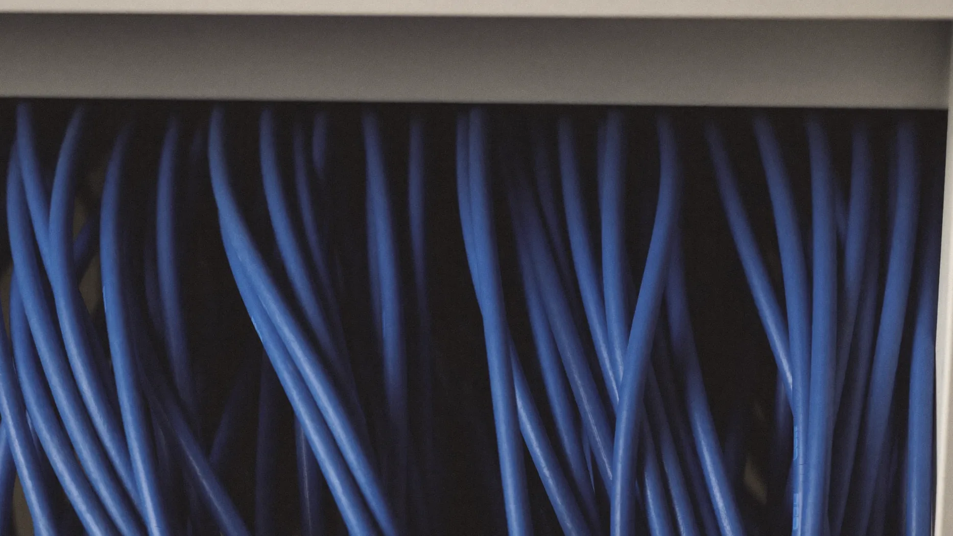 Fascio di cavi di rete blu che entra in un armadio patch panel